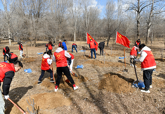 DSC_2934 拷贝1.jpg