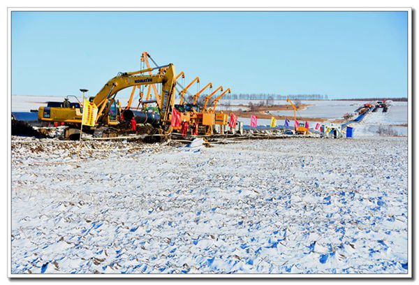 1747121941171996.jpg 7.jpg