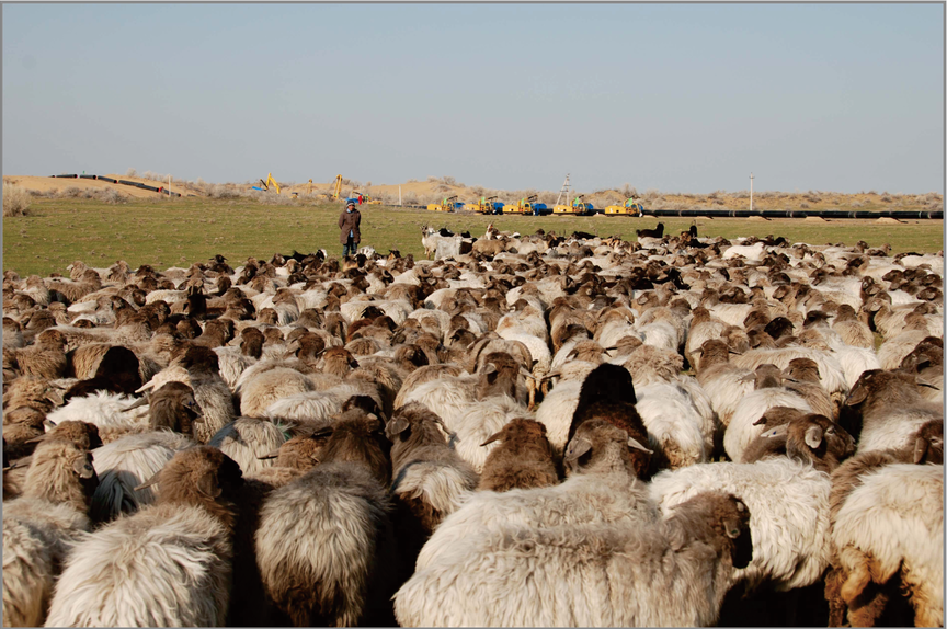 哈中天然气管道二期工程