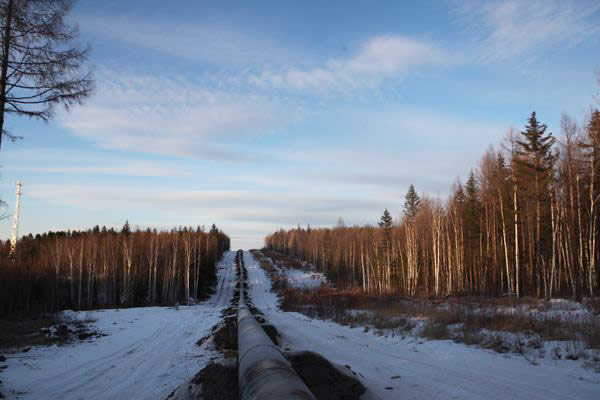 金鼎娱乐最新官方网址