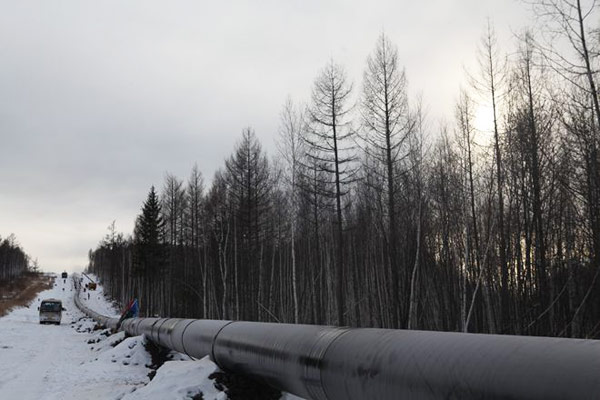 金鼎娱乐最新官方网址