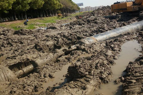 {dede:field.fulltitle/}